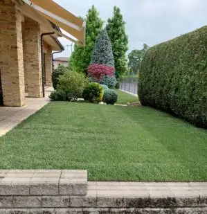 Verde e Siepe