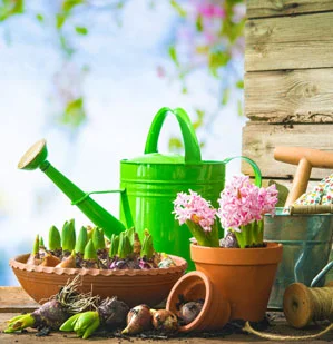giardinaggio-marene-cuneo